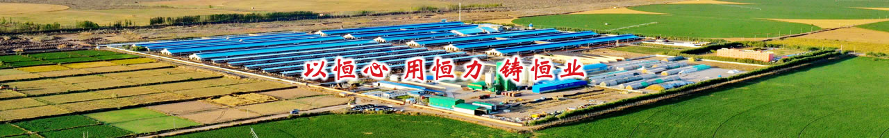 565net必赢客户端新闻