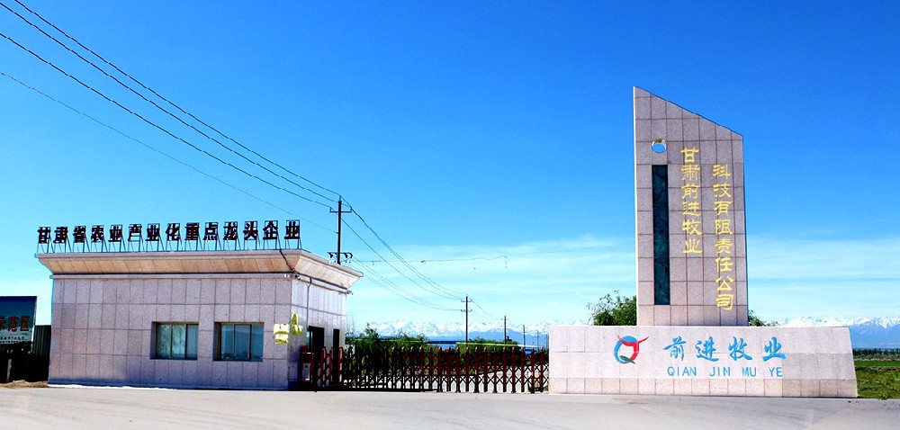 甘肃565net必赢客户端牧业科技有限责任公司石岗墩万头牧场（565net必赢客户端集团石岗墩牧场）