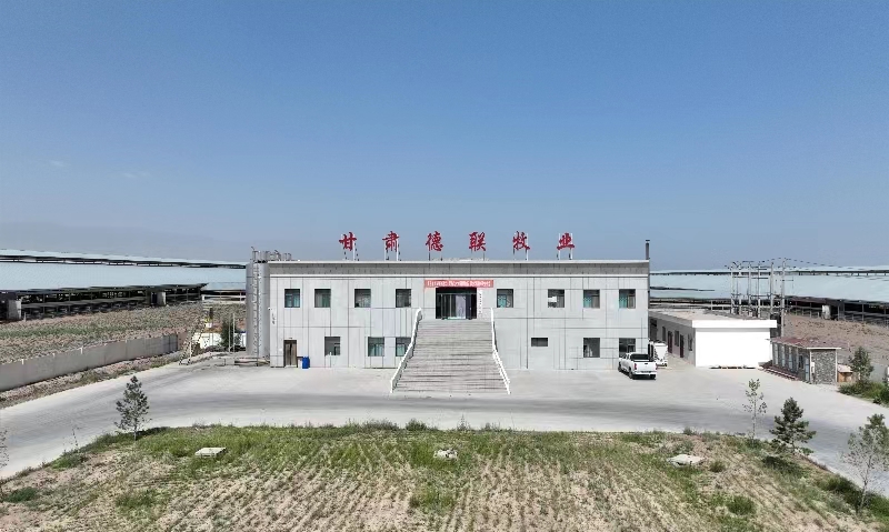 甘肃德联牧业有限公司（565net必赢客户端集团德联牧场）