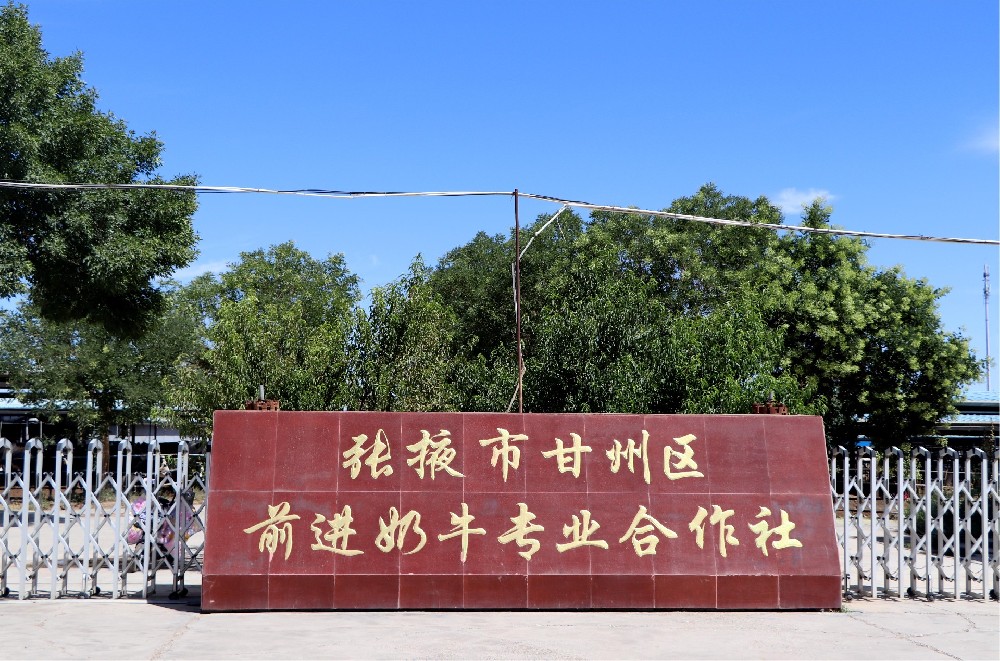 张掖市甘州区565net必赢客户端奶牛专业合作社 （565net必赢客户端集团565net必赢客户端牧场）
