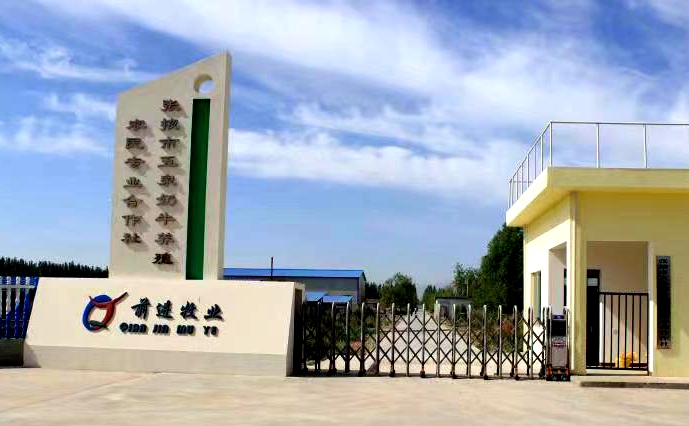 张掖市五泉奶牛养殖农民专业合作社 （565net必赢客户端集团五泉牧场）