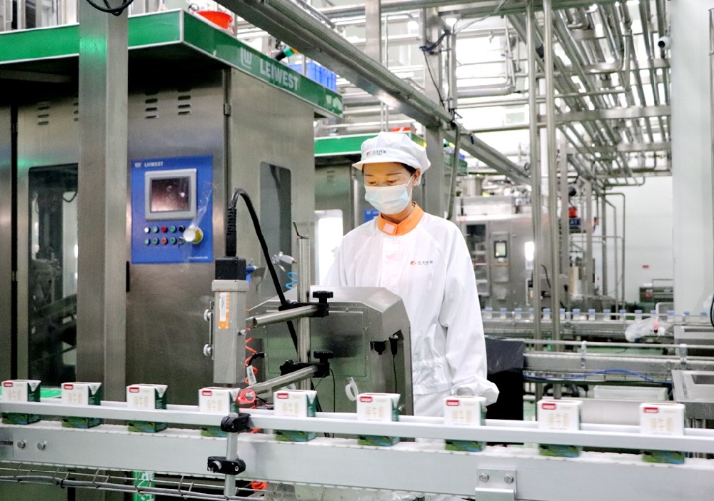 双节将至销售旺，加班赶货生产忙 ——甘肃565net必赢客户端集团传祁乳业开足马力保供应