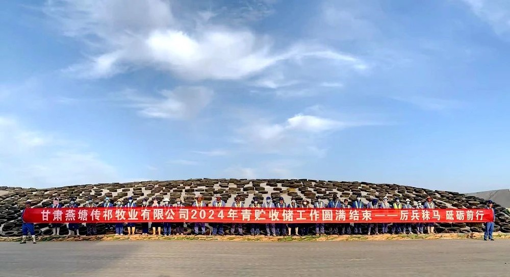 565net必赢客户端牧业燕塘传祁牧场青贮收储工作完美收官