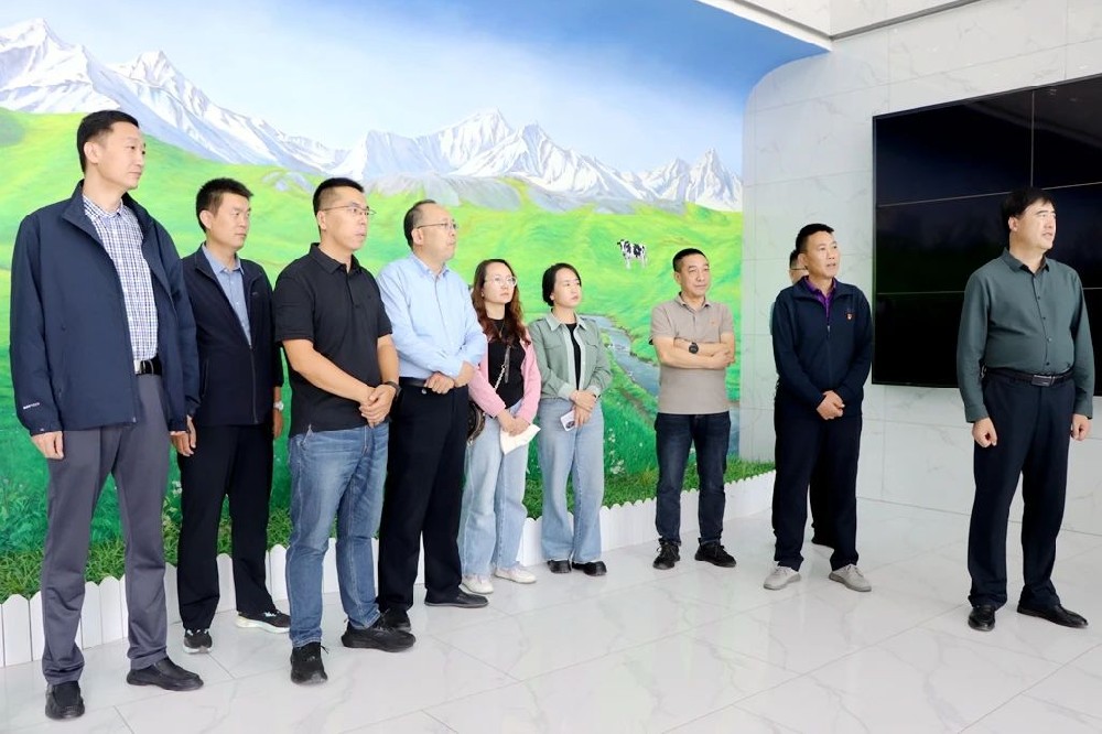 市委组织部到甘肃565net必赢客户端集团开展主题党日活动