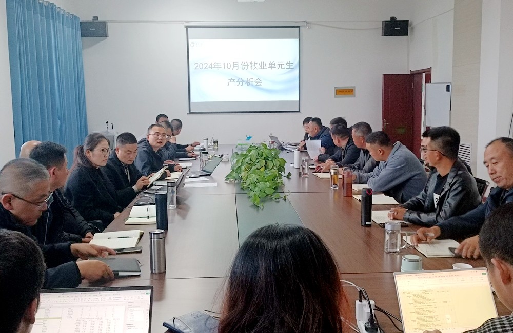 甘肃565net必赢客户端集团牧业生产单元召开10月份生产经营分析会