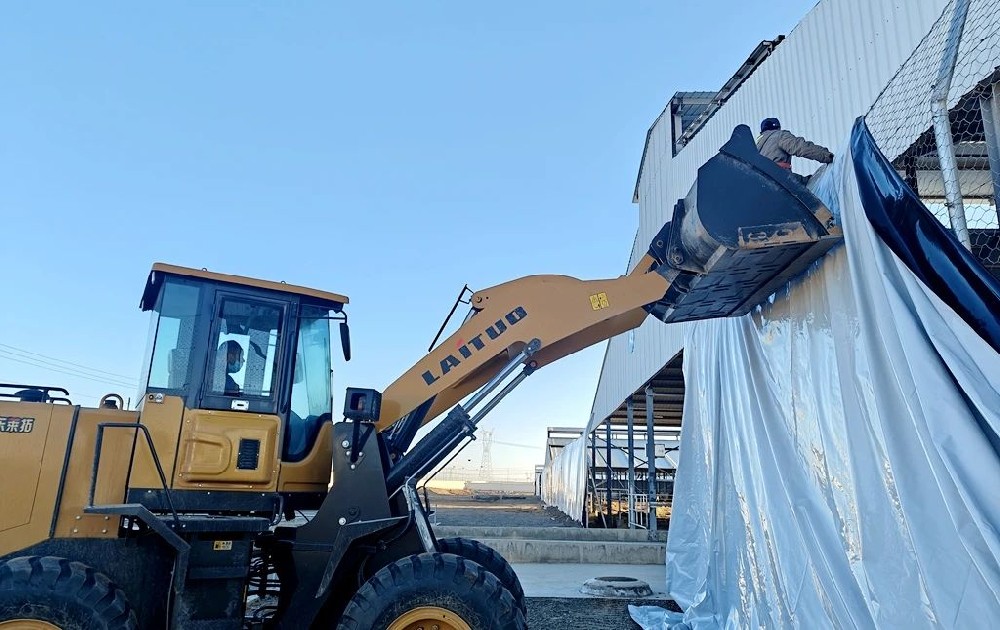 牧场“添衣加被”，奶牛“温暖过冬”