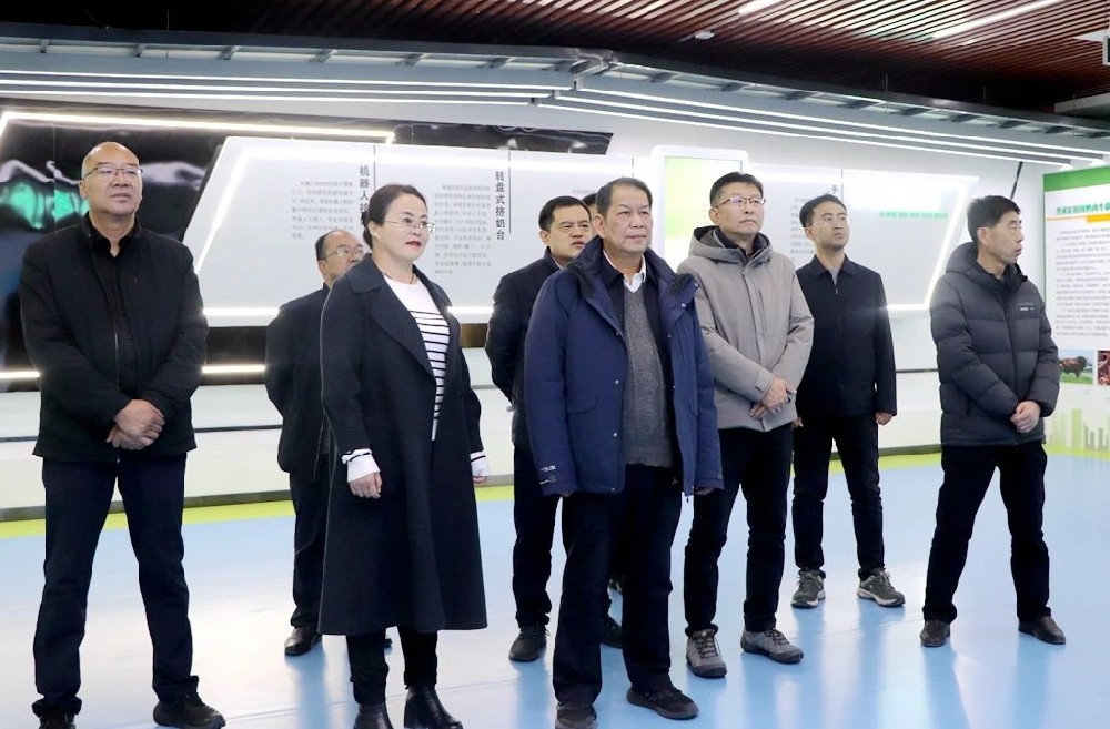 农业农村部科学技术司张文到甘肃565net必赢客户端牧业调研