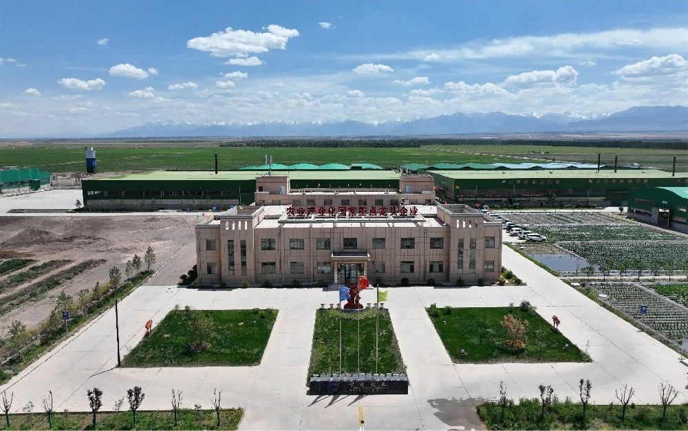 有机肥，农业绿色发展的新动力