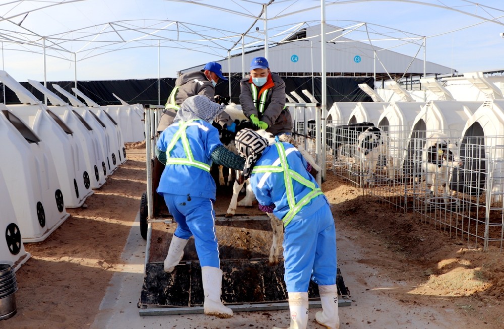 同事情，工作中的温情纽带