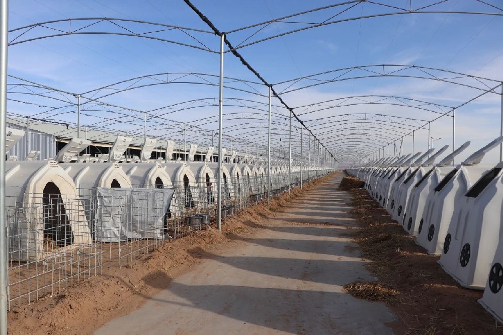 微光闪耀，筑梦前行