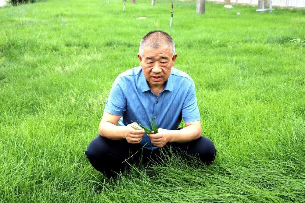 马志祥“利益大家享，责任我来担”