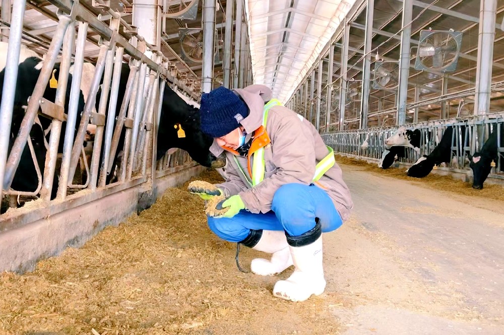 任劳任怨干实事，默默无闻做表率