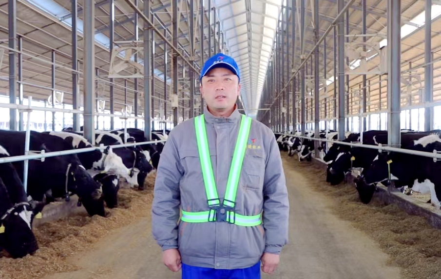 养健康牛，产品质奶