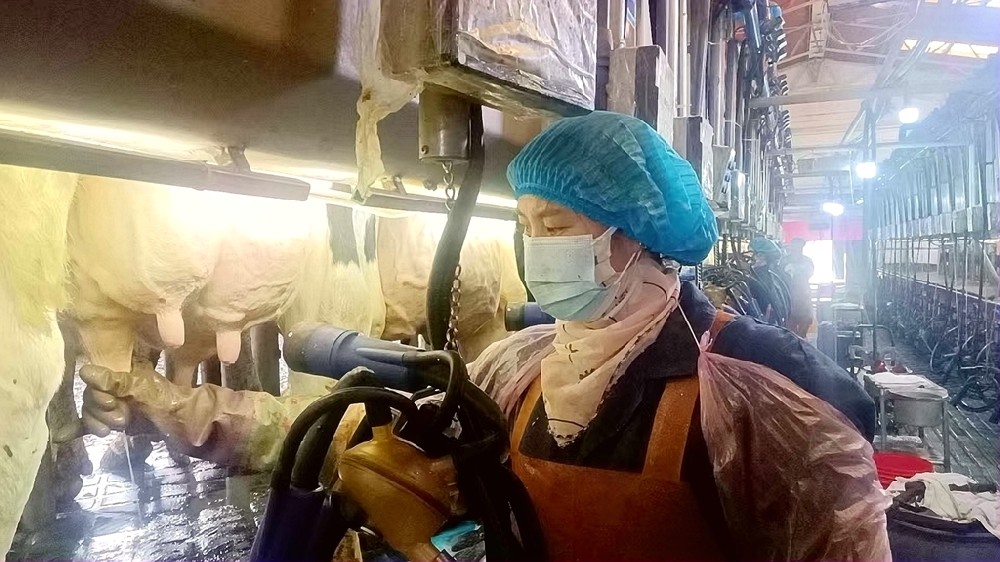 时光不负追梦人