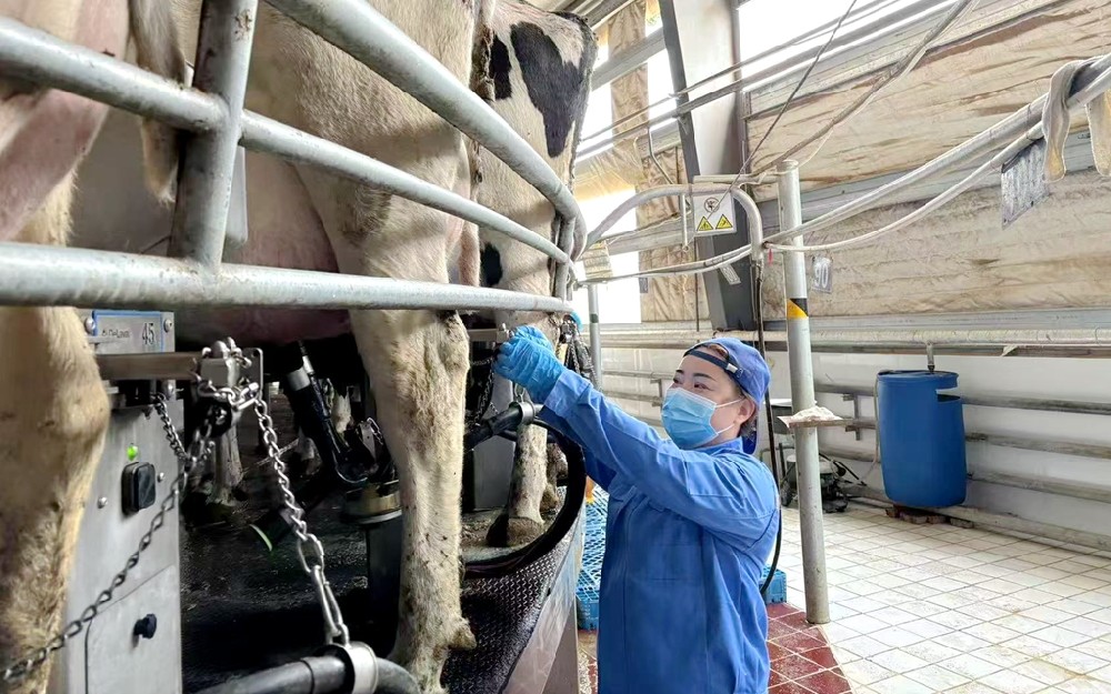 赢在细节，胜在执行