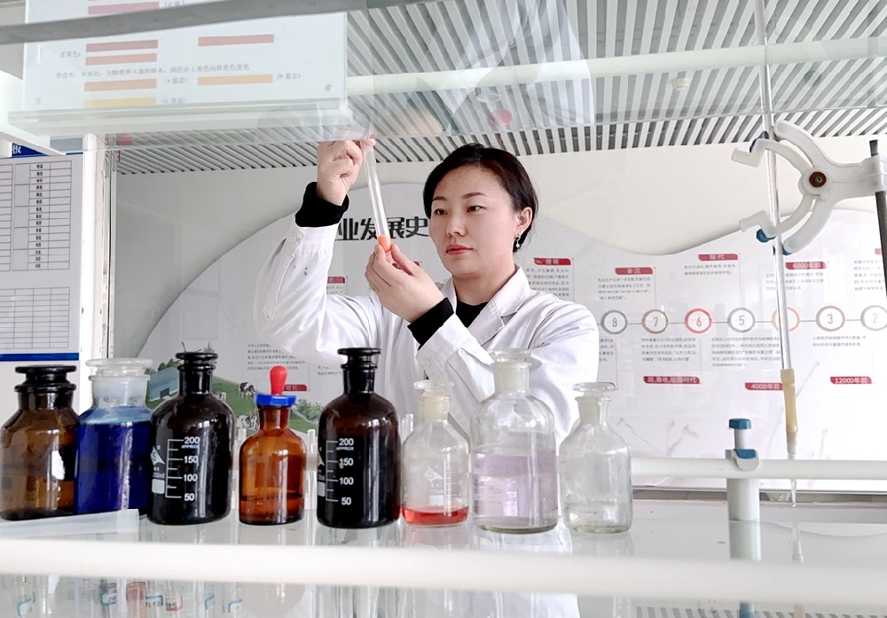 春风十里，芳华如你——甘肃565net必赢客户端集团的“她”力量（一）