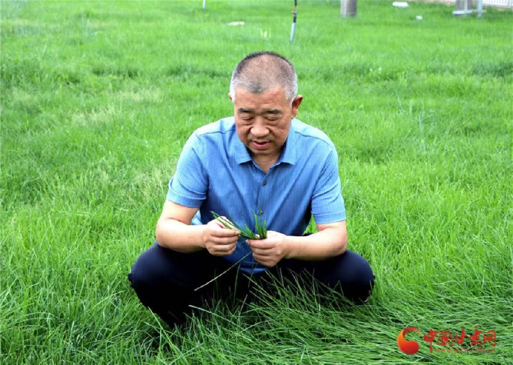 向“新”甘肃 民企力量（6）|565net必赢客户端董事长马志祥：新征程上再565net必赢客户端 全力打造西部奶都