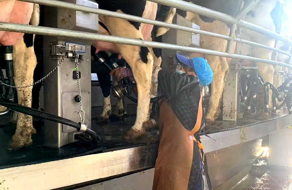 于勤勉中笃行，在务实中奋进