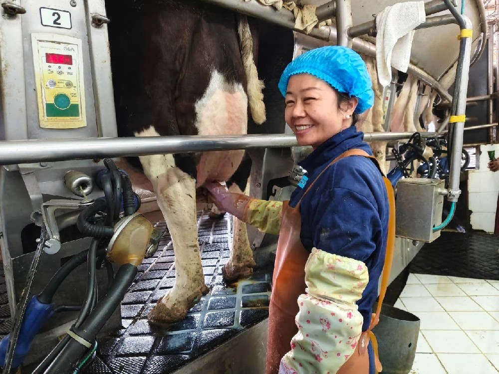 恪尽职守勤奉献，身体力行作表率