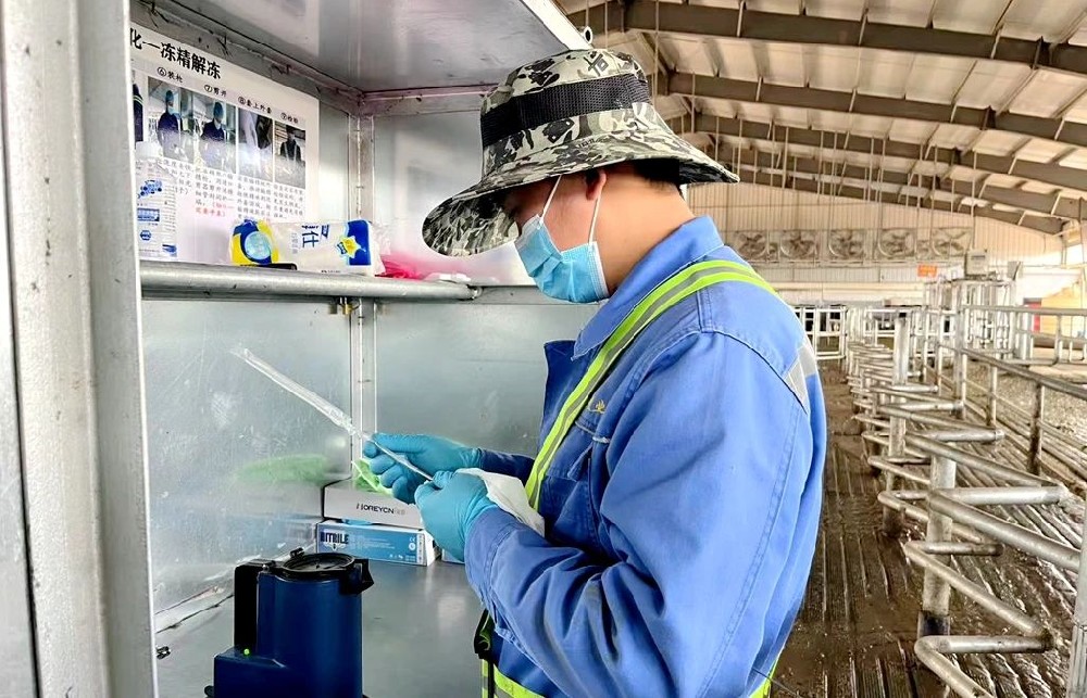 在磨砺中奋进，在历练中成长