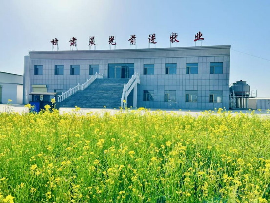 晨光下的乳业之光