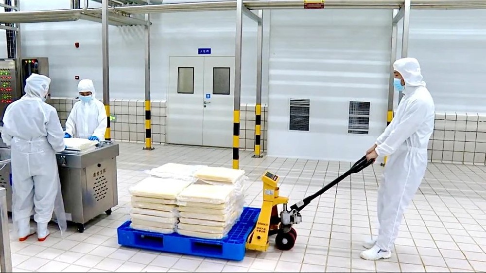 生产“不停歇”，奋斗“不打烊”