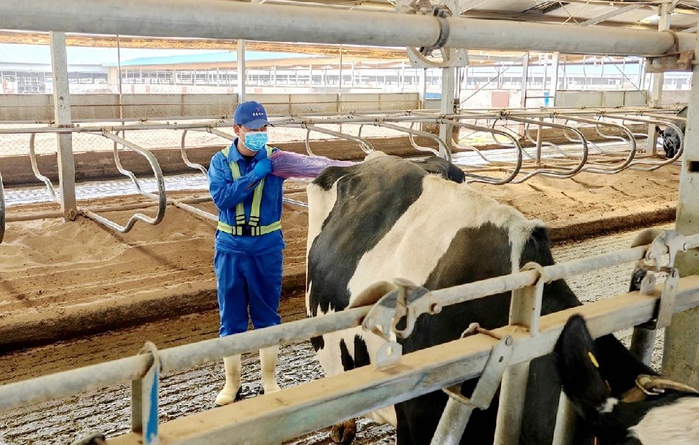 从跌跌撞撞到步履坚定