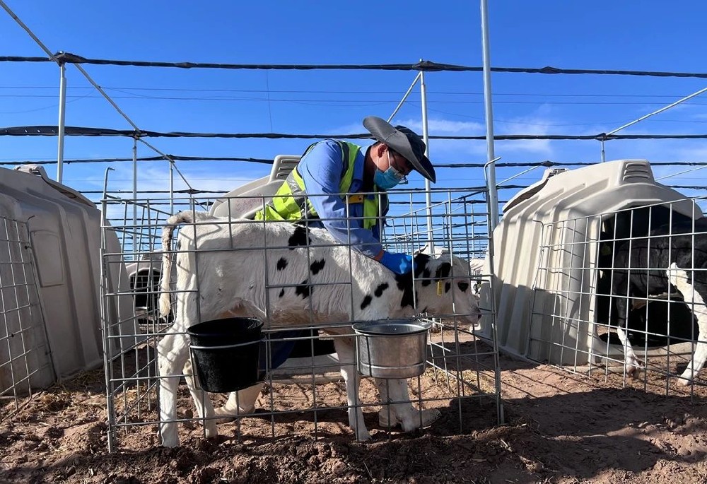 在耕耘中感悟成长