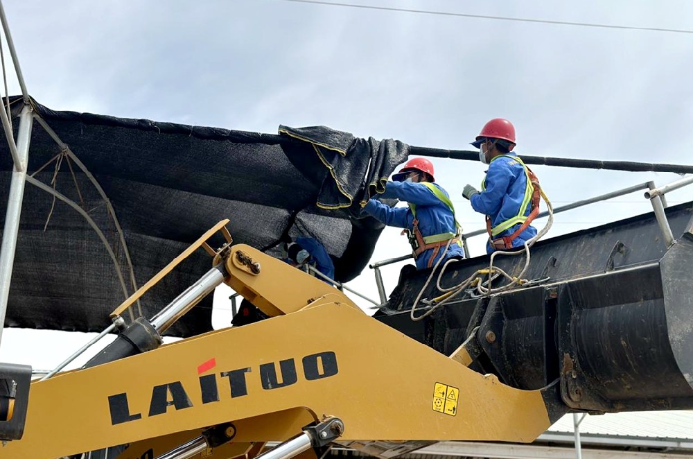 党员先行筑防线,撑起犊牛成长“保护伞”