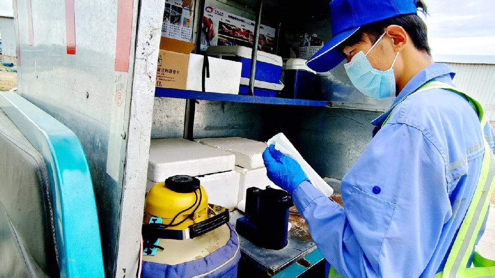 深耕繁育一线，守护牧场“生命线”