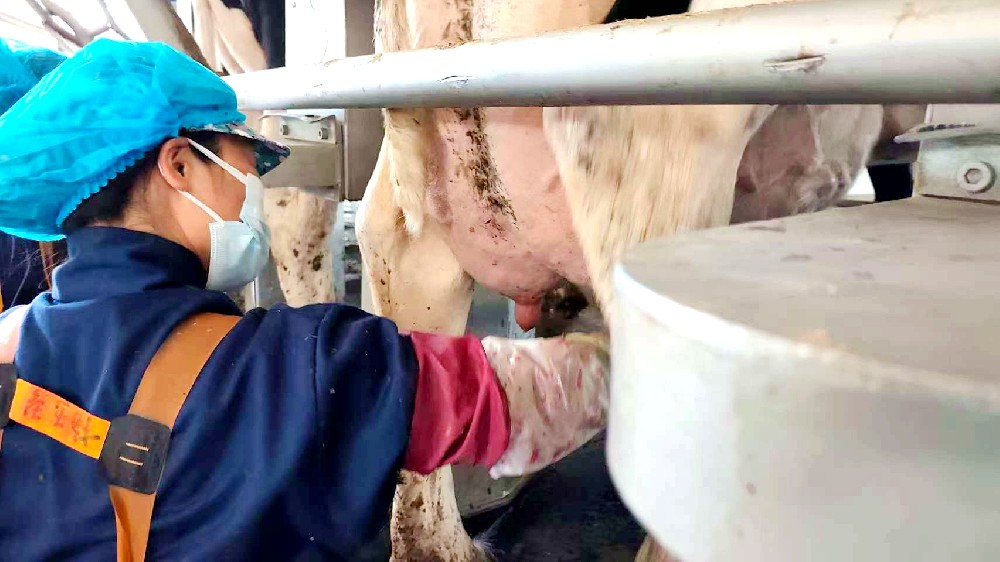 乳白时光里的坚守者