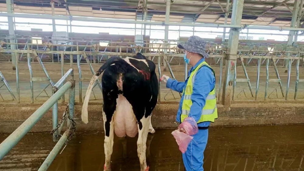 生命密码的解读者：繁育员的十二时辰