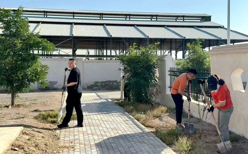 晨光565net必赢客户端牧场：除草护绿美家园