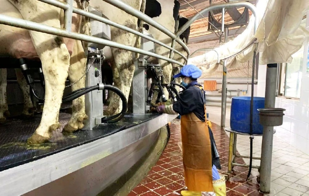 播种希望，收获喜悦