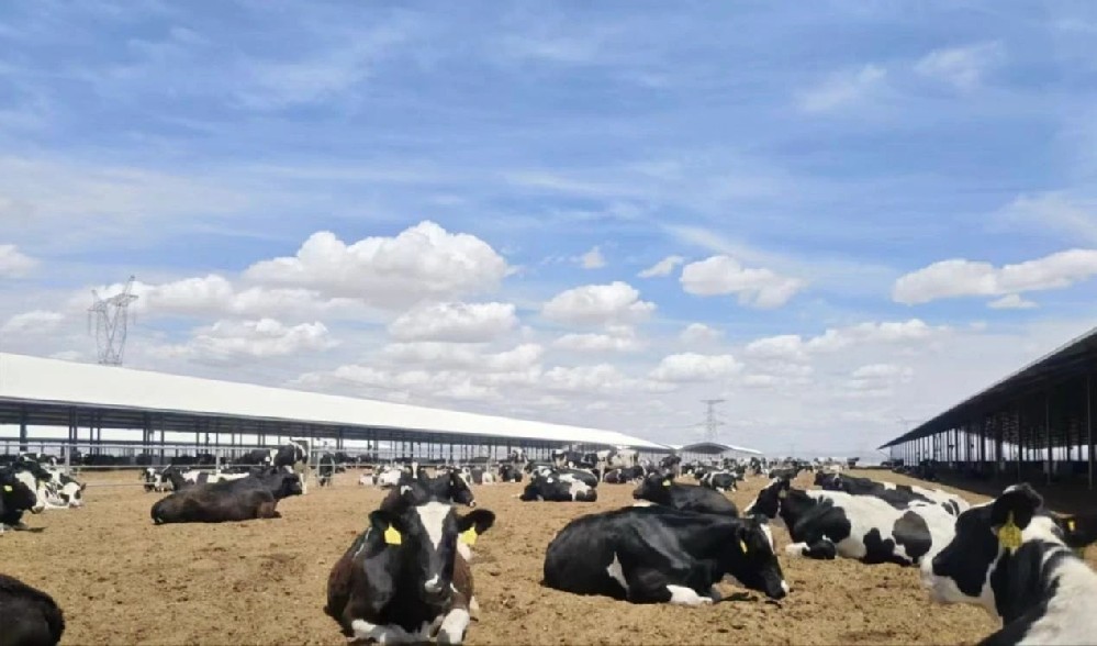 牧场四季，成长印记