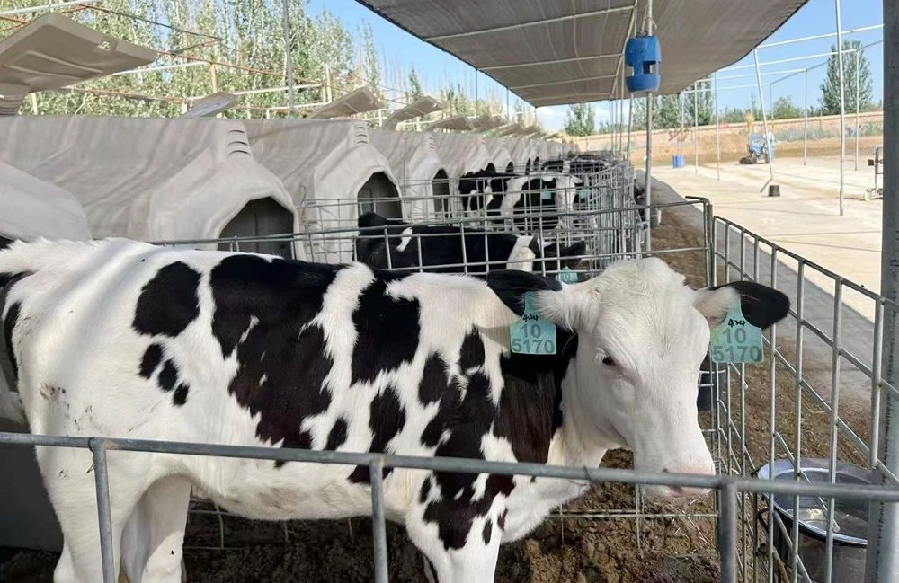 匠心培育未来产能之星