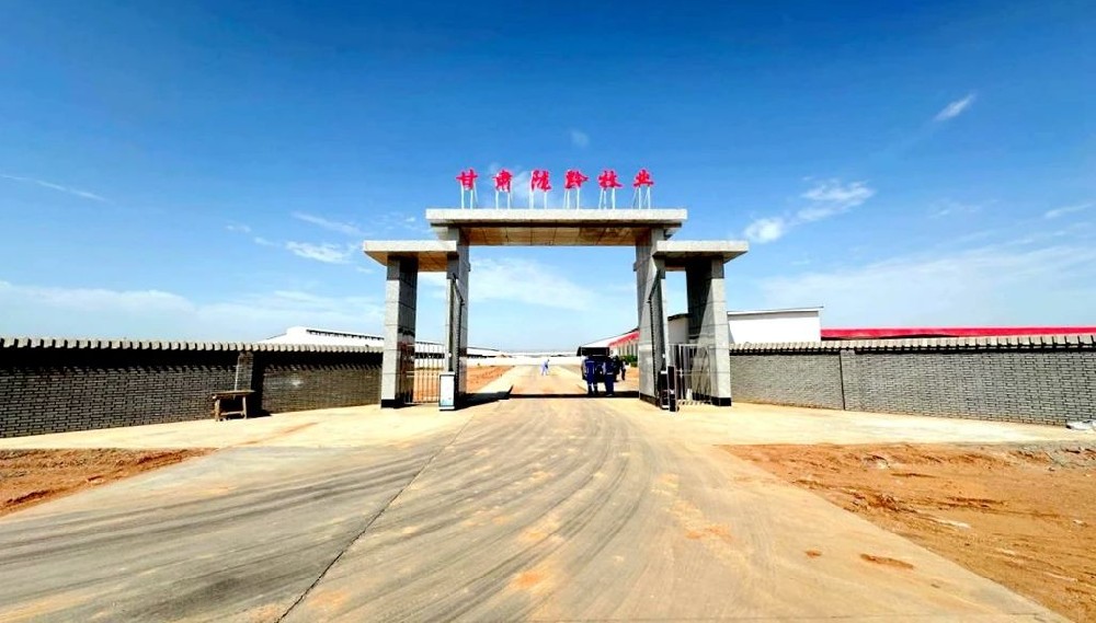 甘肃陇黔牧业：新建大门及道路工程顺利竣工并完成验收