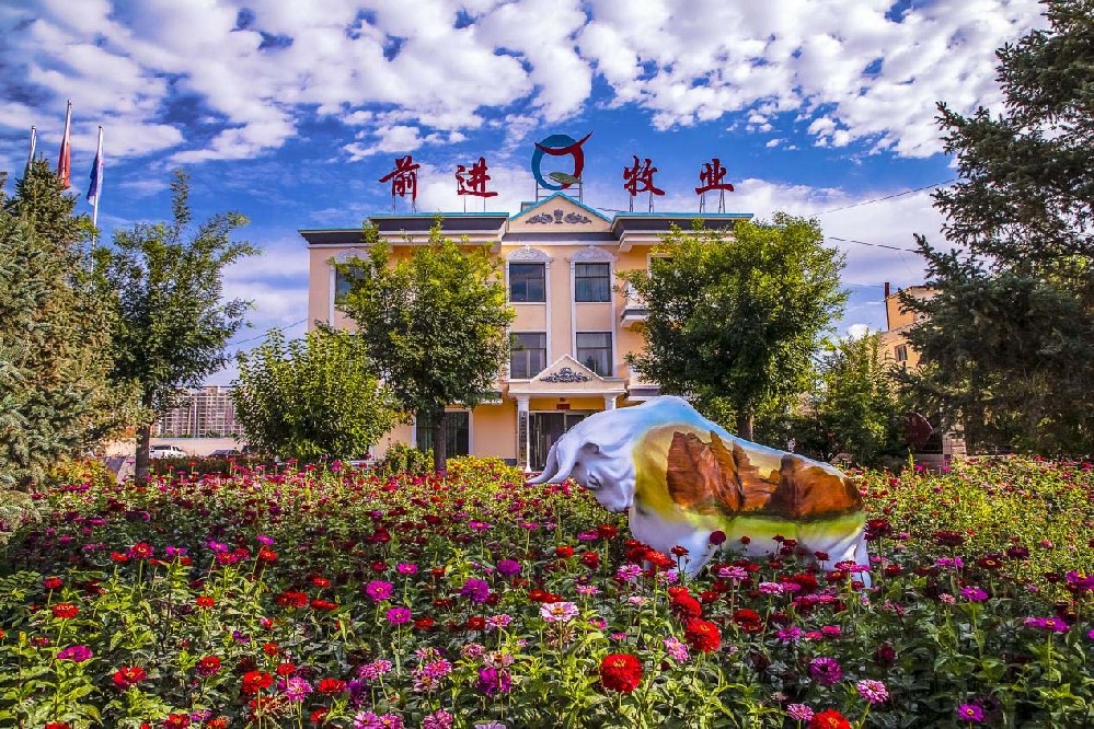 根植沃土，共沐朝阳——我与565net必赢客户端牧业同行的岁月