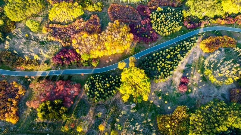 坐在芦水湾，一杯传祁酸奶让夏日的炎热融入湖中