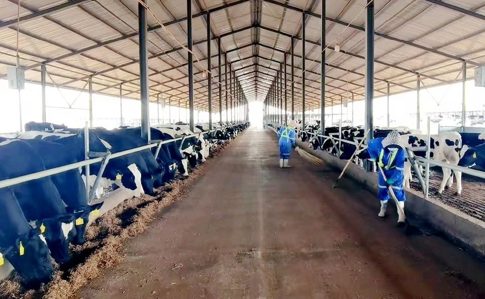 奋斗与欢乐的激昂乐章