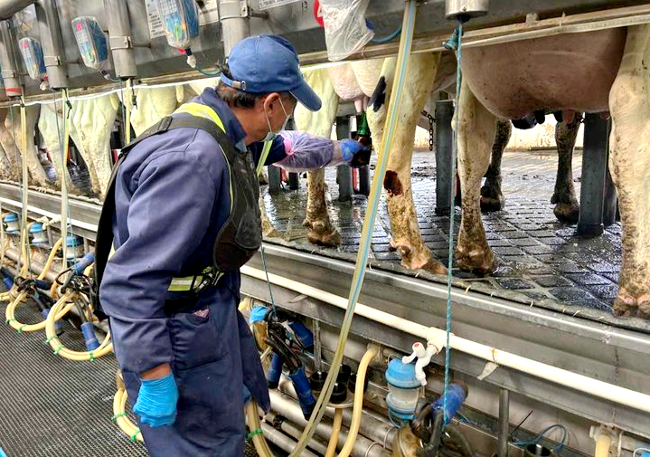 老陈与生命的守望之歌