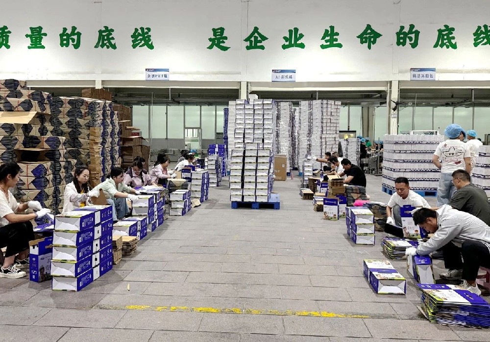 职能部门下沉一线,同心筑牢生产“保障线”