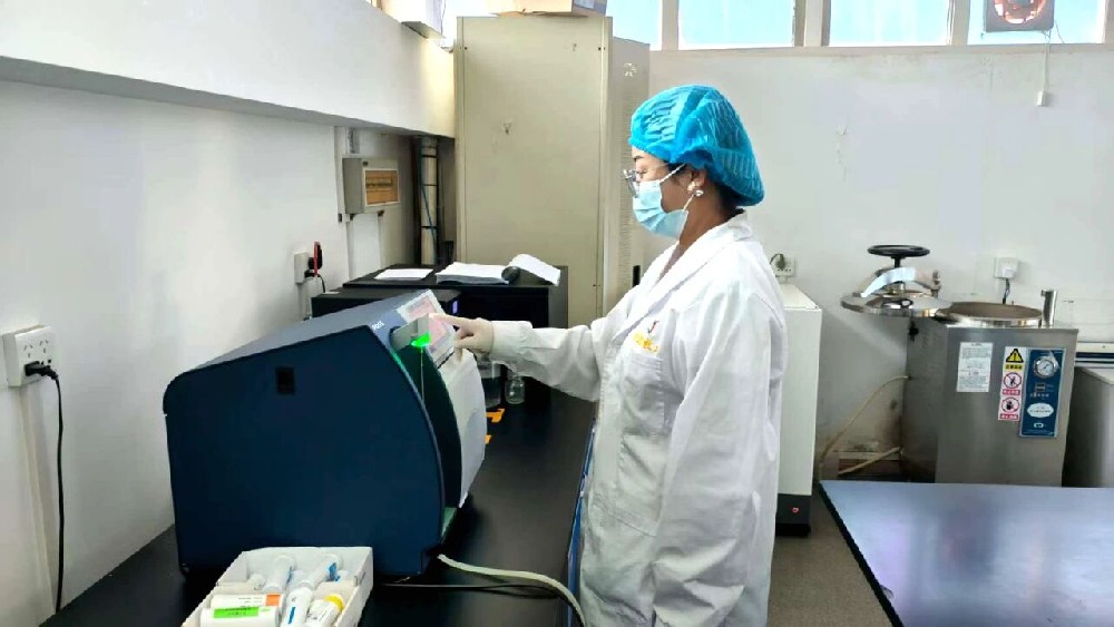 我与565net必赢客户端的十年