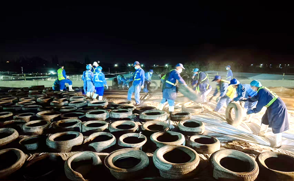 做好“粮文章”，绘就好“丰”景