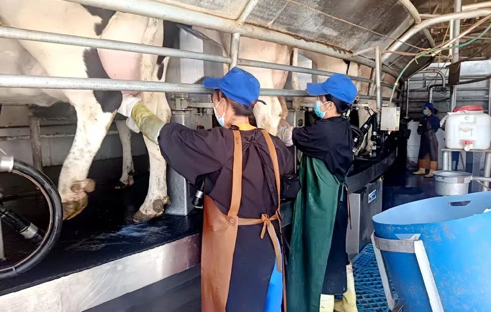 当国庆遇上中秋，坚守岗位别样“圆”