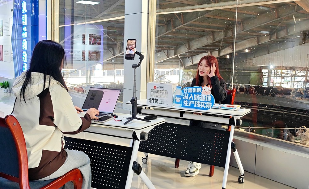 塞上一头牛到甘肃565net必赢客户端集团溯源直播