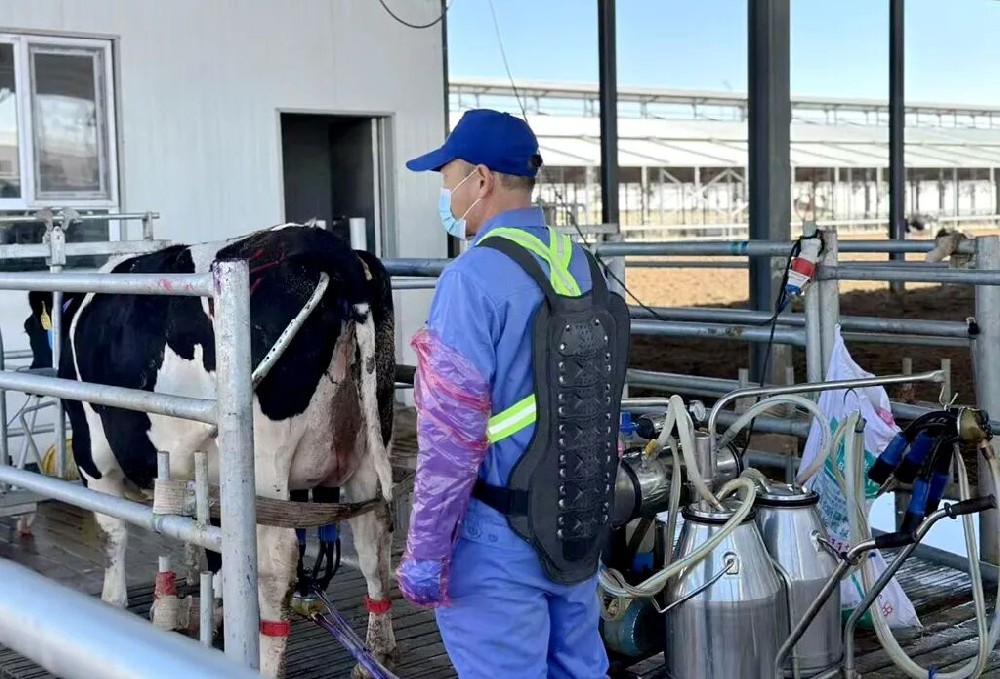 用爱与责任守护新生