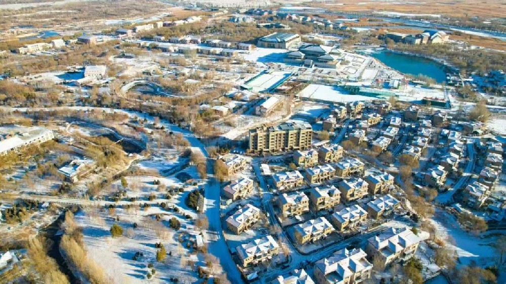 藏在传祁牛奶里的冬日暖意——好山好水好草好牛好奶（三）