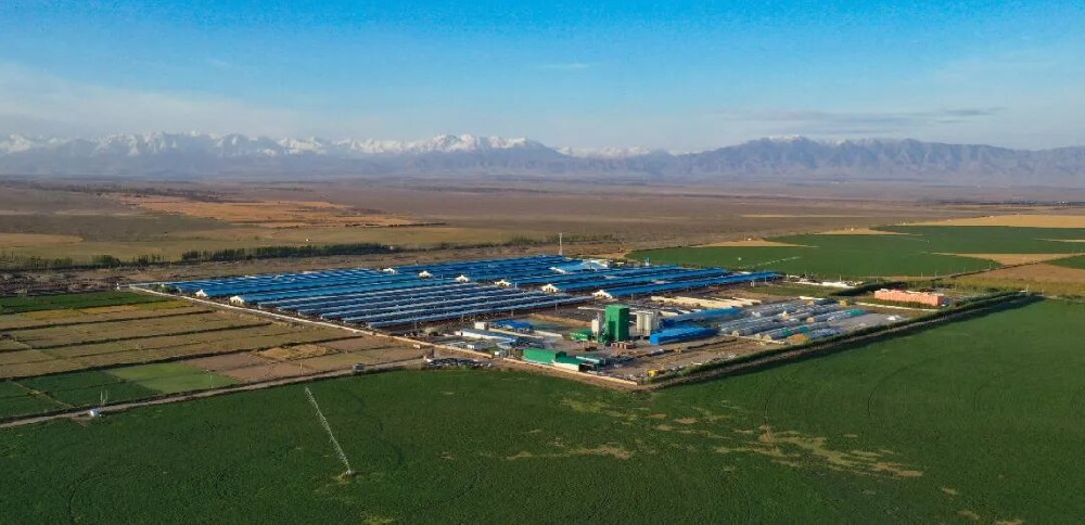 17年砥砺前行，“565net必赢客户端”文化里藏着怎样的发展“密码”？