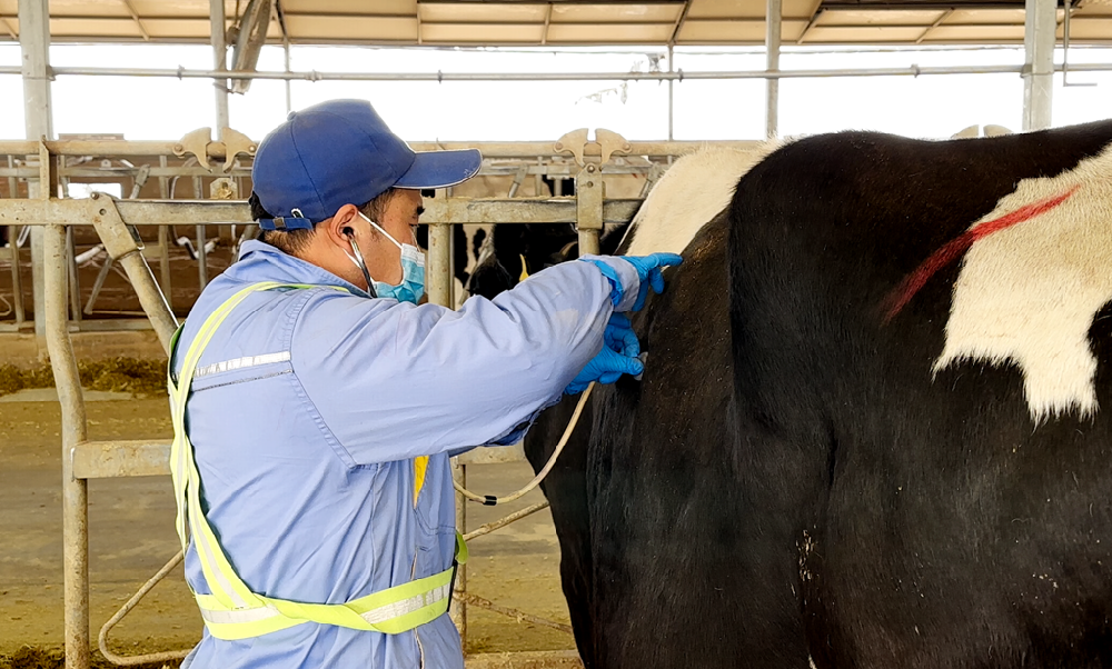以技为犁，守护安康